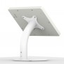 Portable Fixed Stand - iPad 2, 3, 4  - White [Back Isometric View]