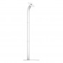 Fixed VESA Floor Stand - White (Fixed)